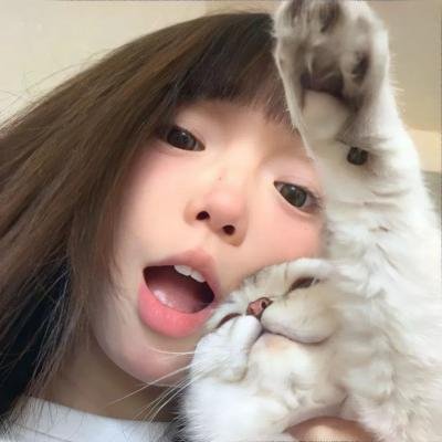 王朝的陷落